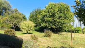 Un jardin avec différents arbres et arbustes, une clôture en bois et un ciel dégagé.