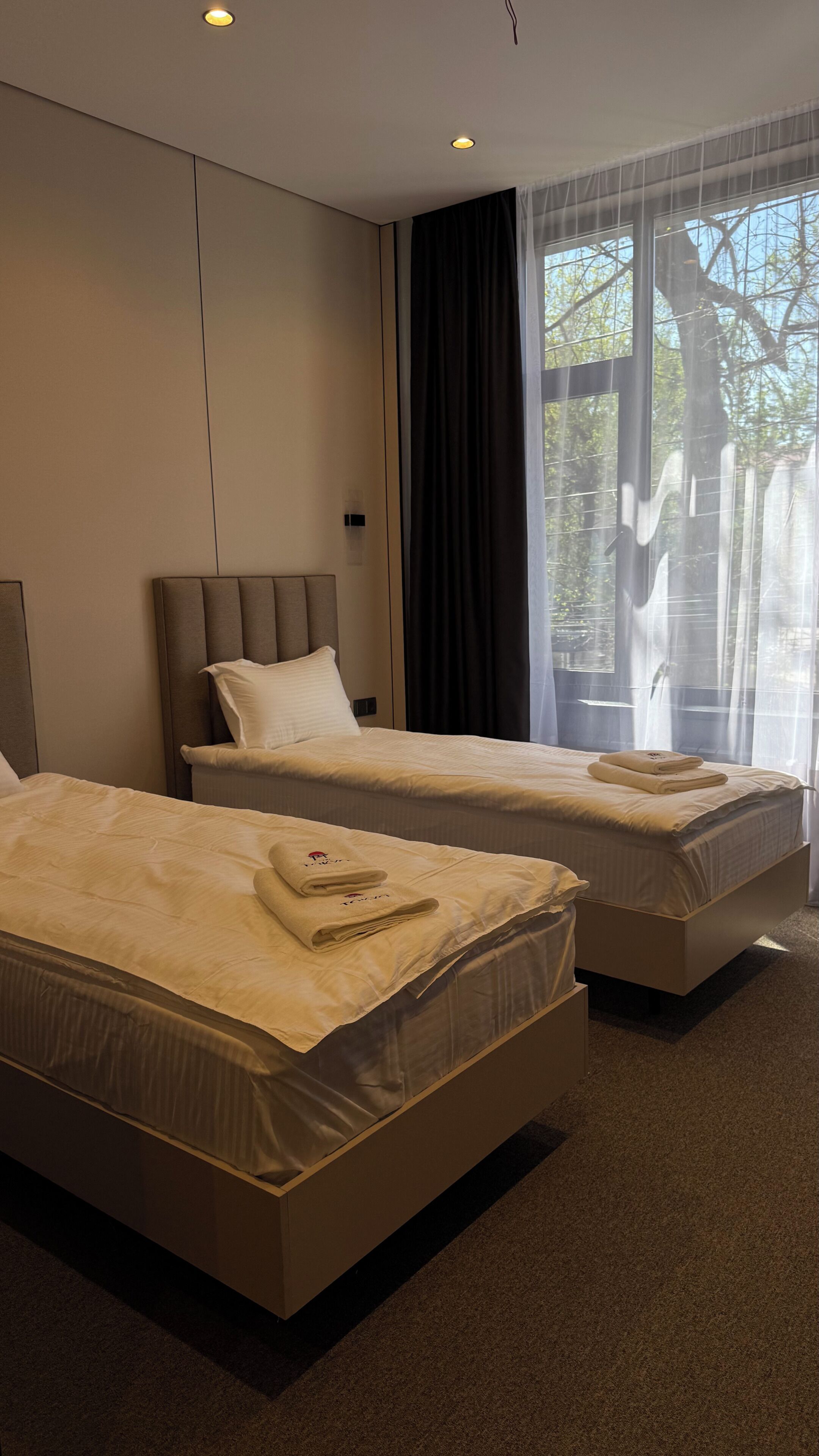 Deluxe Double or Twin Room