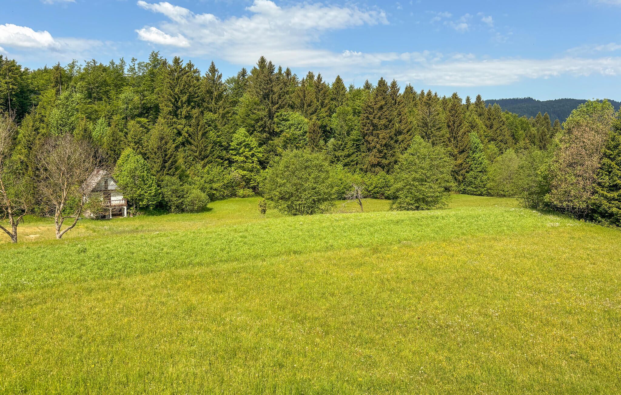 A grassy field with a house and dense forest in the background.