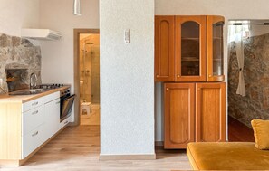 Eine kleine Küche mit Kochfeld, Spüle und Holzschränken.