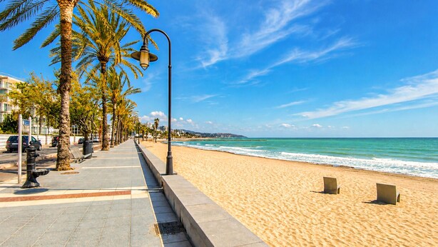 A beach with a paved walkway lined with palm trees and street lamps, leading to the ocean. - 2 bedroom awesome apartment in Benicasim (Benicasim)