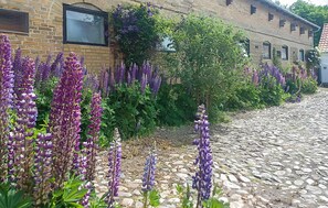 A cobblestone street with purple flowers and a brick building with windows. - 5 bedroom lovely home in Sydals (Sydals)