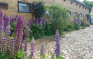 A cobblestone street with purple flowers and a brick building with a window and a door. - Lovely home in Sydals with WiFi (Sydals)