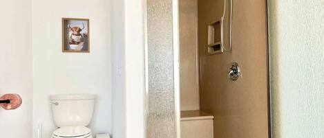 A bathroom with a toilet, bidet, and shower.