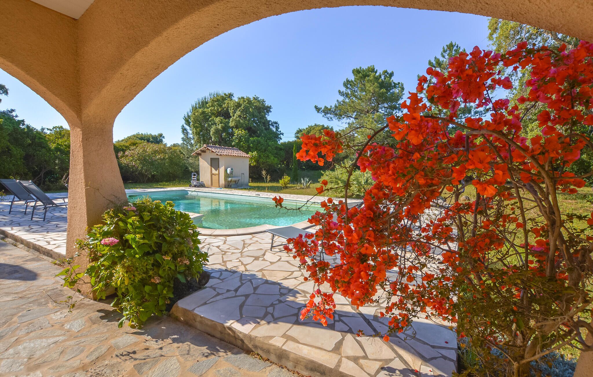 Piscine