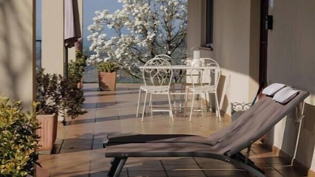 Un patio al aire libre iluminado por el sol, con una silla reclinable, una mesa y sillas, rodeado de macetas con plantas y un árbol floreciente.