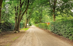 Eine ländliche Straße, gesäumt von dichten Bäumen und einem kleinen Gebäude mit rotem Dach.