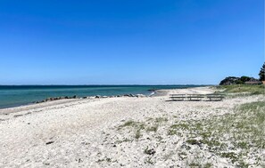 Ein Strand mit blauem Himmel, sandigem Ufer und einigen Bänken.