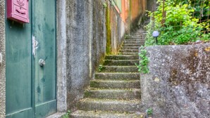 Una estrecha escalera de piedra que sube hacia una puerta verde, con un buzón rosa a la izquierda.