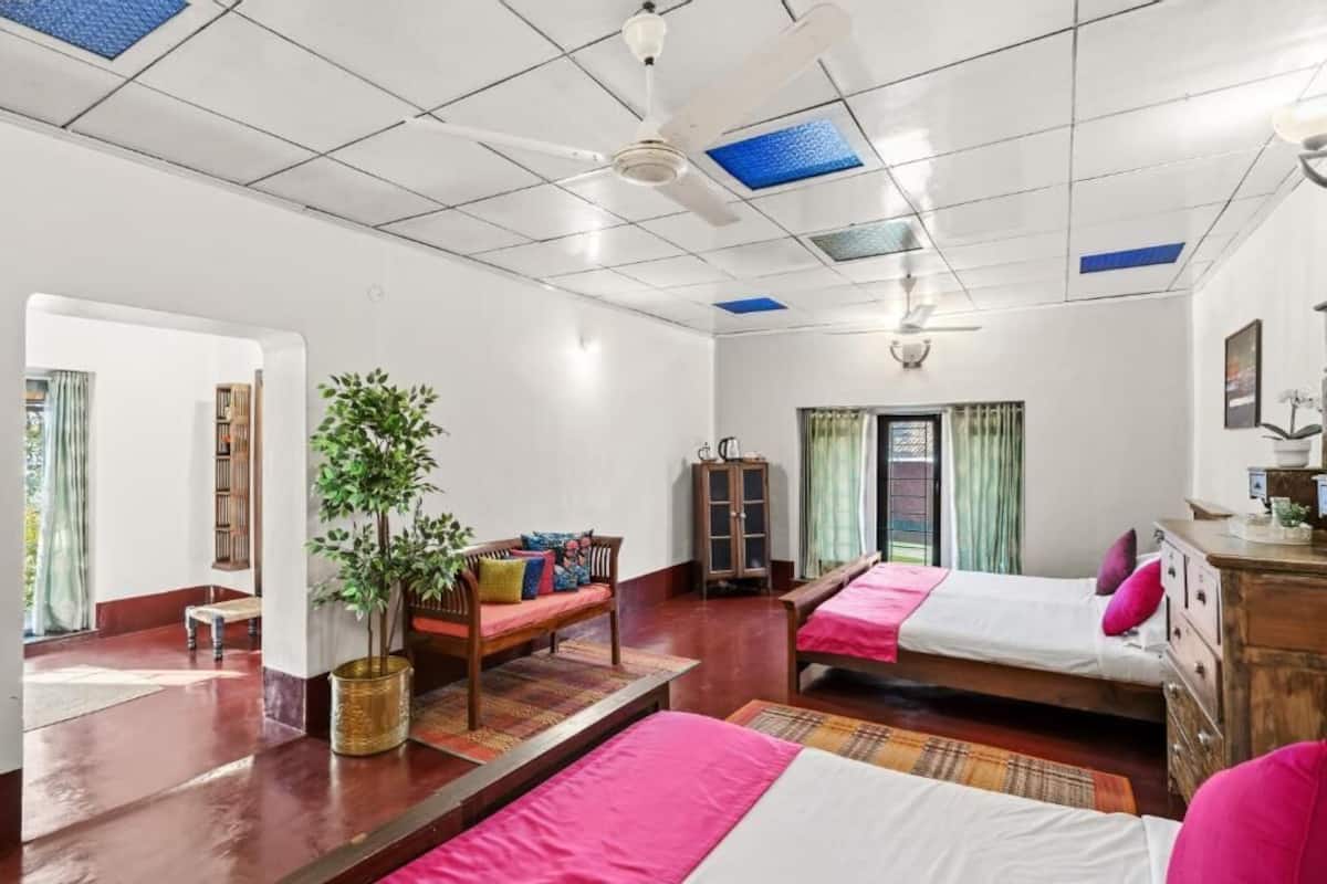 A room with two beds, a sofa, a cabinet, and a potted plant.