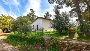 A stone pathway leading to a white building with a door and windows, surrounded by greenery and trees. - Cozy home in Caltagirone with WiFi (Caltagirone)