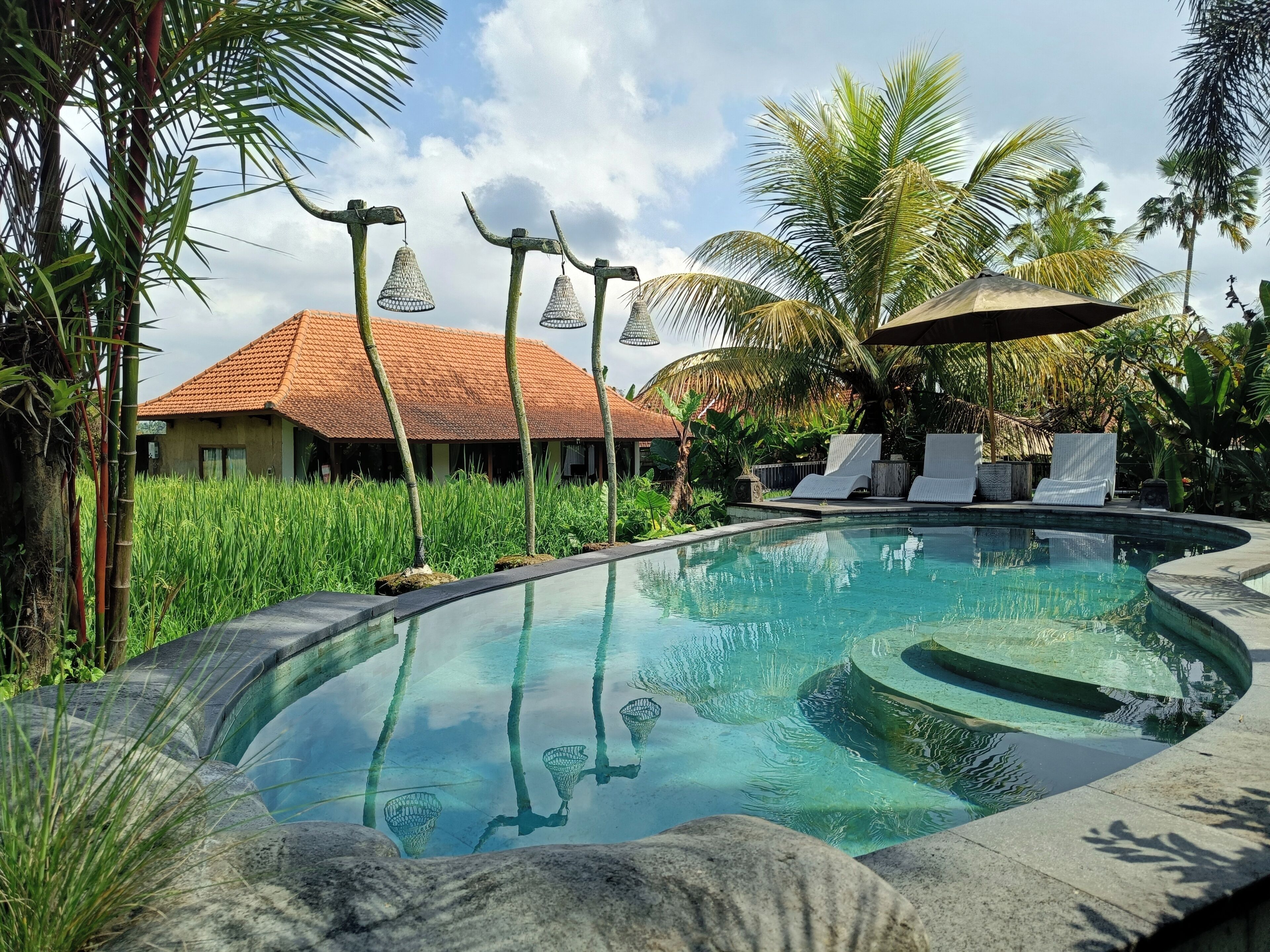 A pool with clear water, surrounded by lounge chairs and a thatched-roof building.