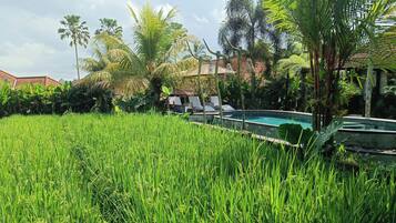 Deluxe Double Room, Pool View | Pool