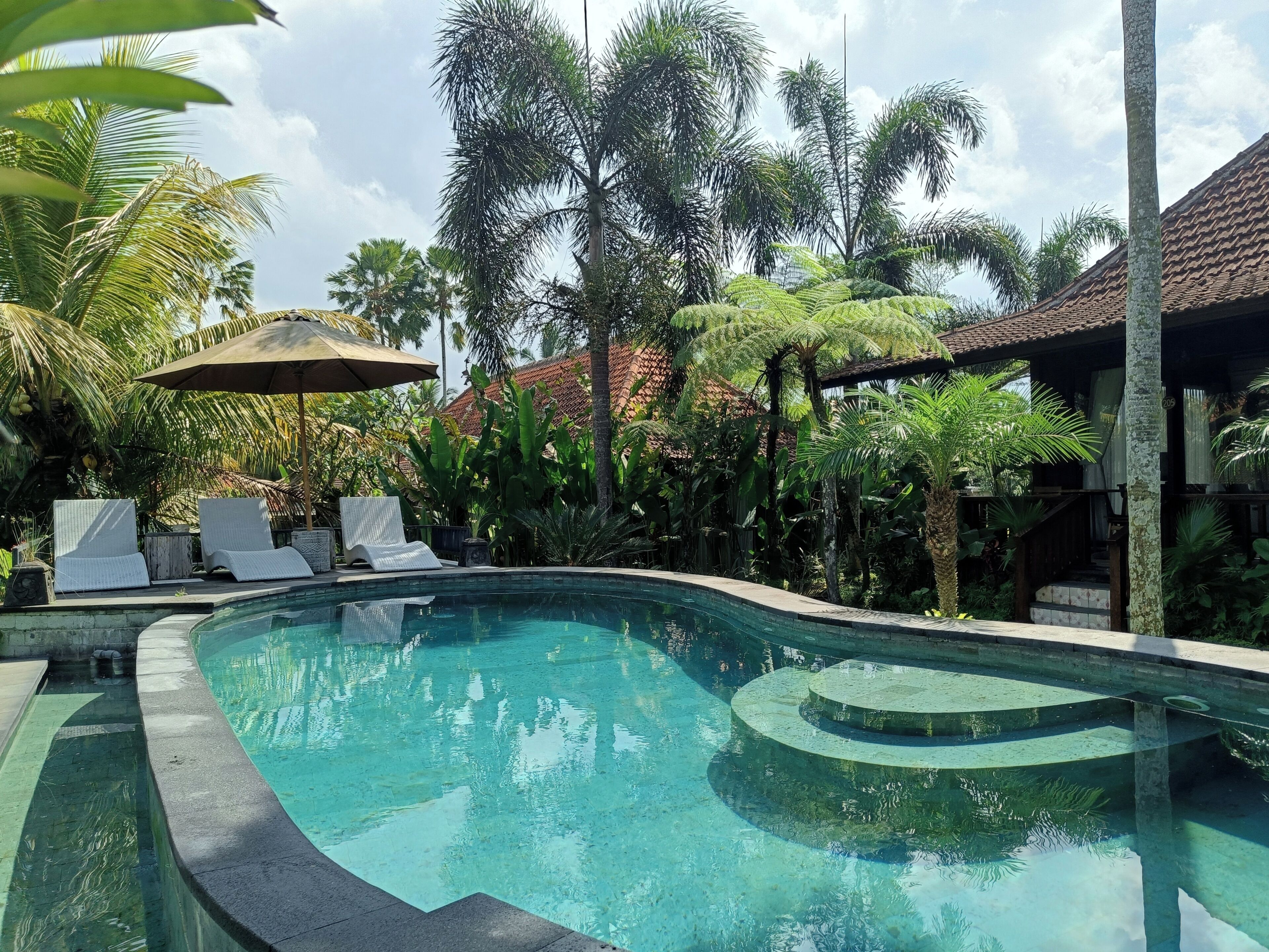 Deluxe Double Room, Pool View | Pool