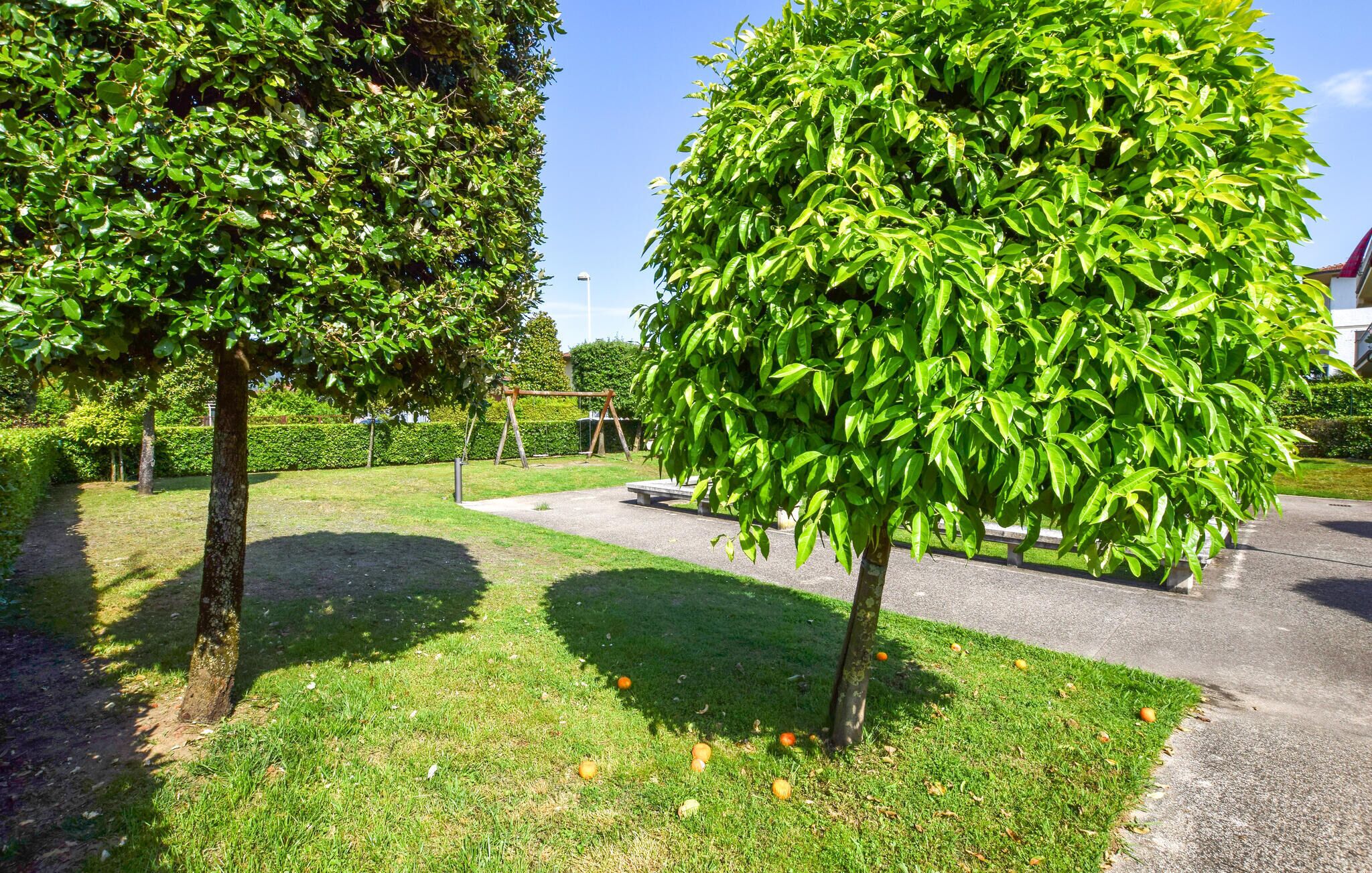 A well-maintained garden with mature trees, a paved walkway, and a clear sky.