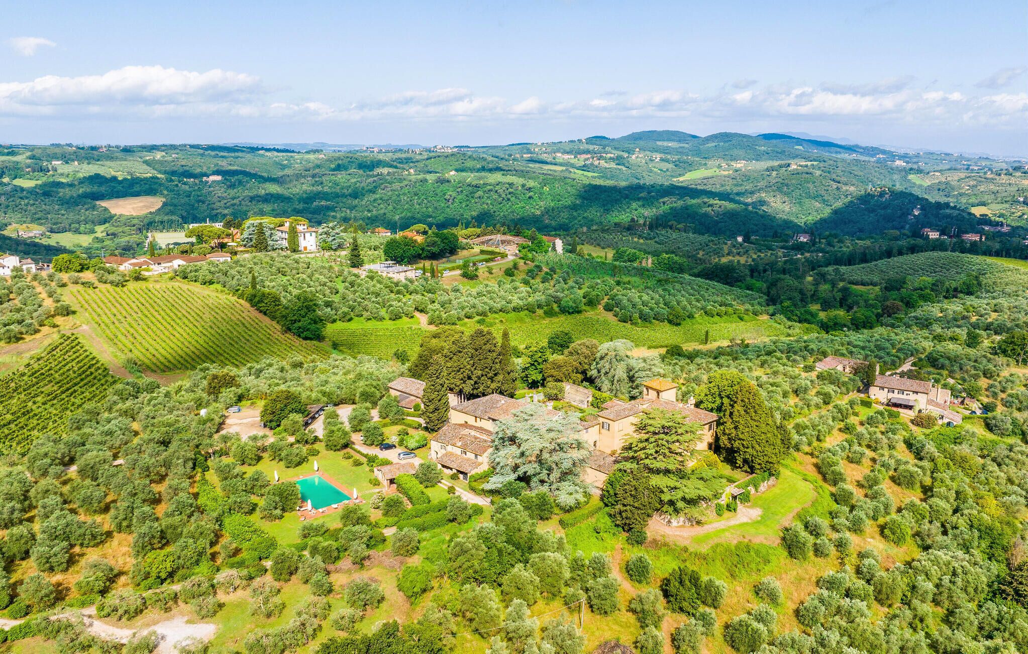 An aerial view of a rural landscape with vineyards, olive groves, and scattered buildings.