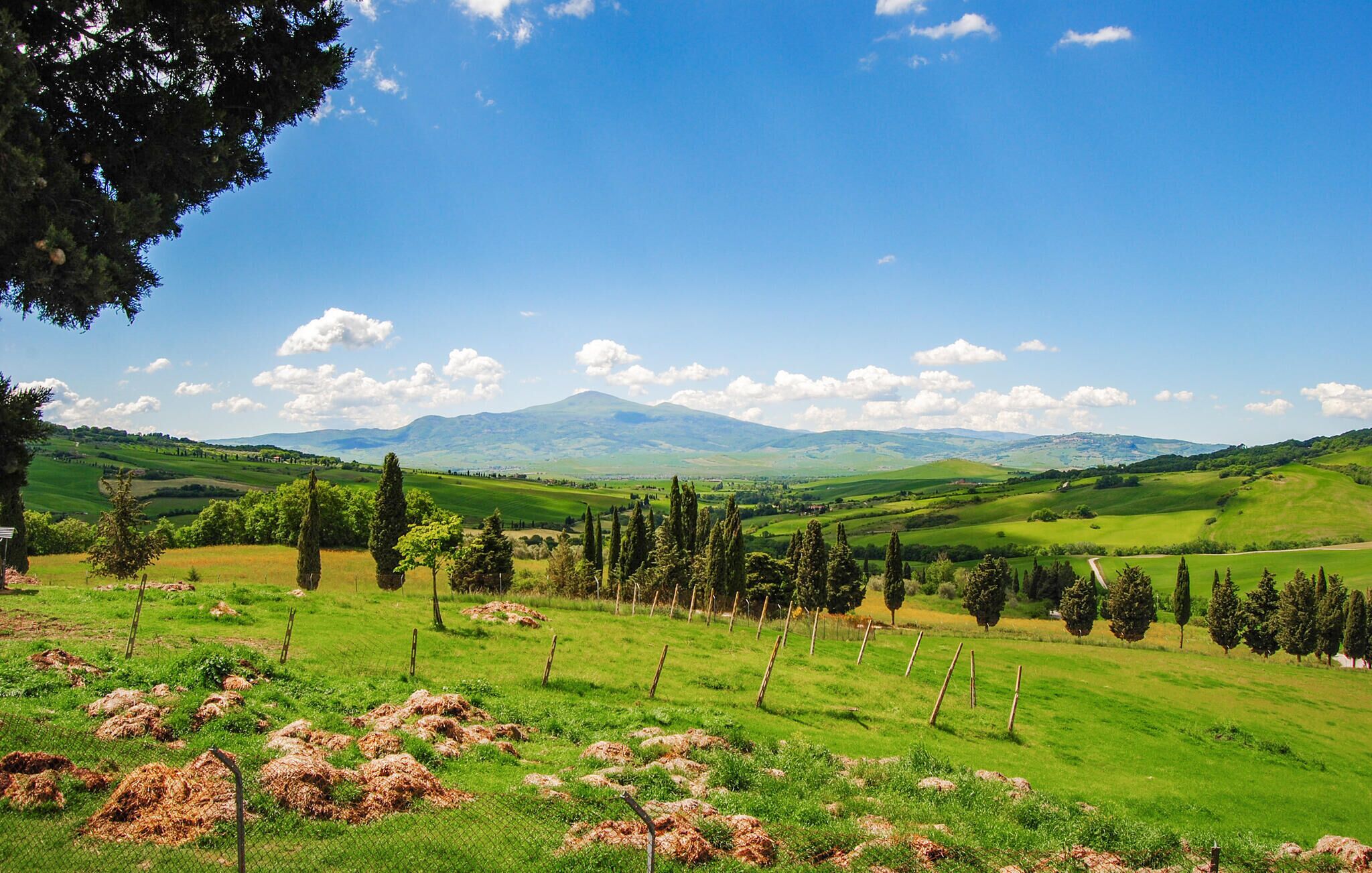 Paisaje rural con colinas ondulantes, cielo despejado y una montaña distante.