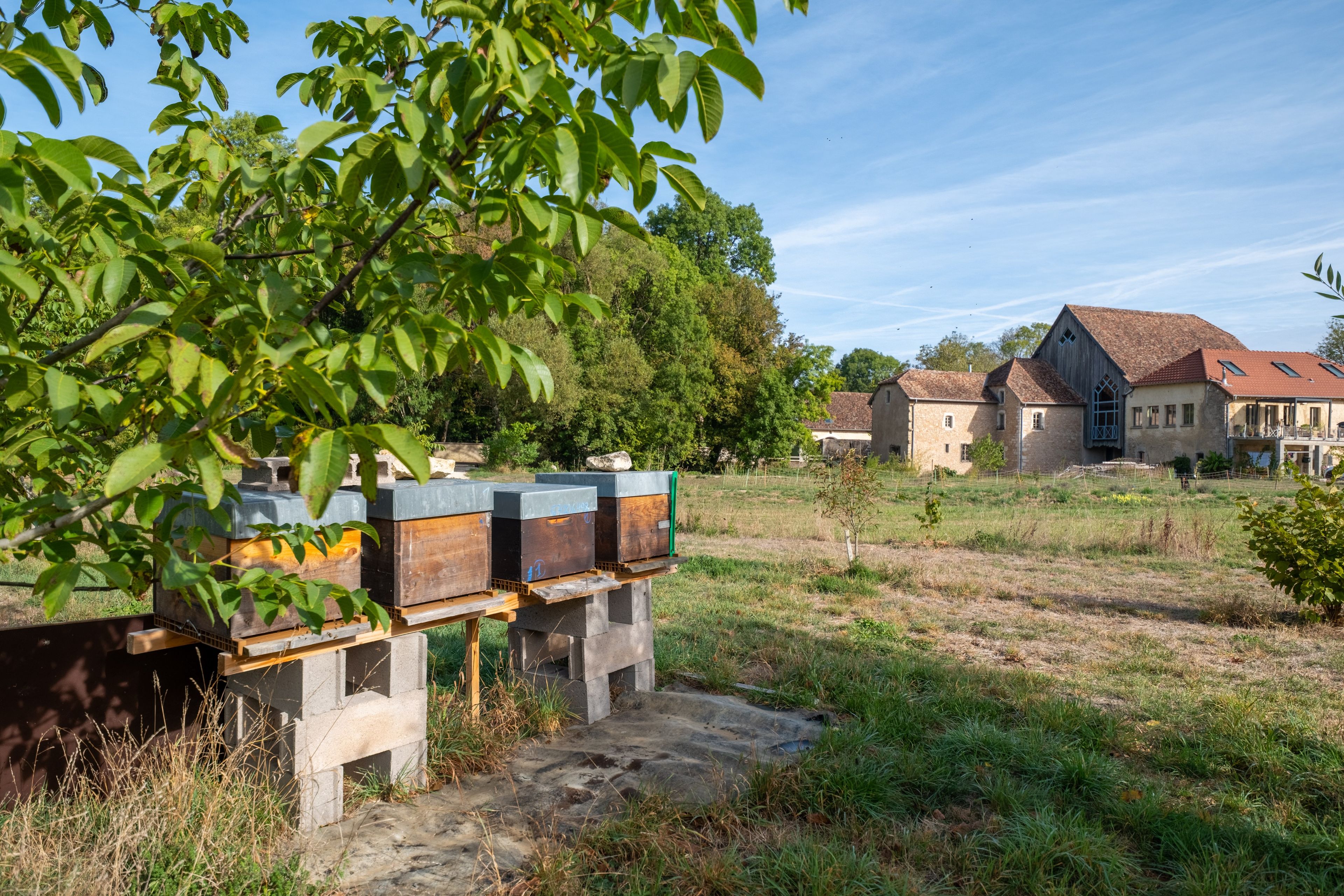 A rural setting with a row of beehives, a stone building, and a clear sky.