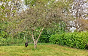 Ein Baum mit einer Schaukel aus einem Reifen, die an einem Ast hängt.
