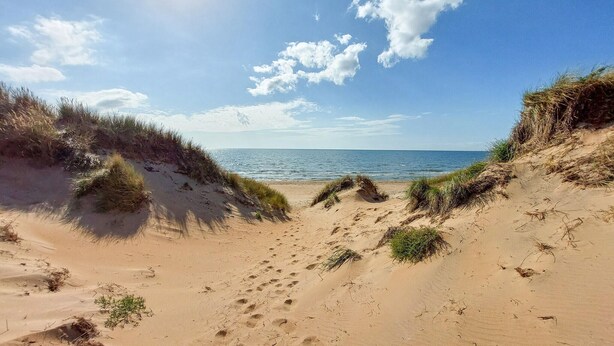 En strand med sanddyner och fri utsikt över havet.
