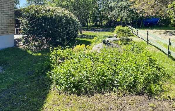 Un jardín con seto, piedra y cerca.