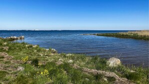 Una masa de agua tranquila con una costa rocosa y zonas verdes.
