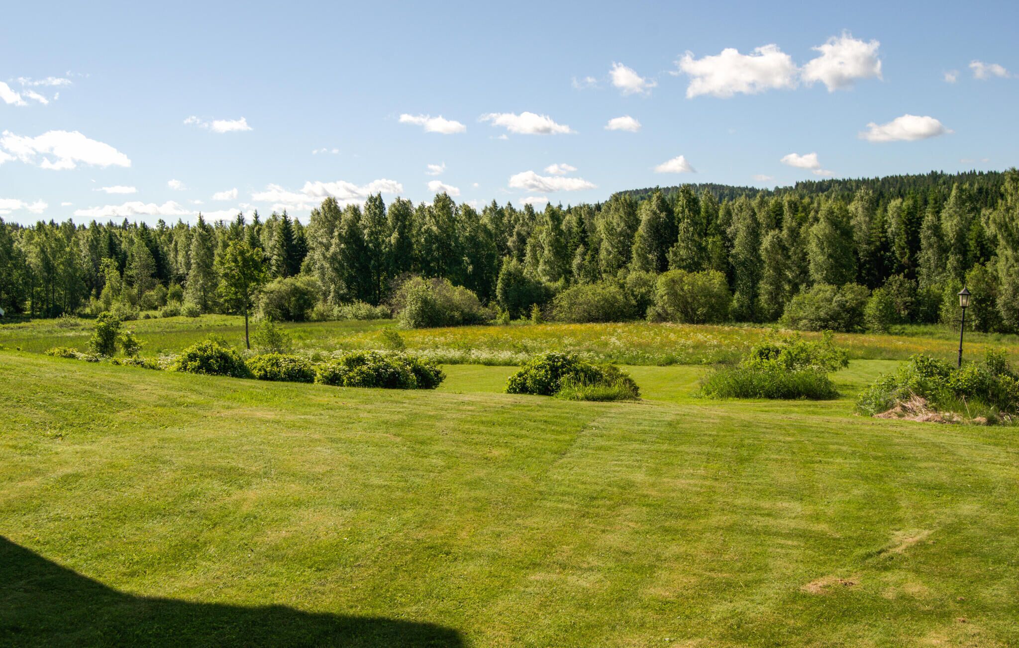 A well-maintained grassy field with scattered bushes and a dense forest in the background.