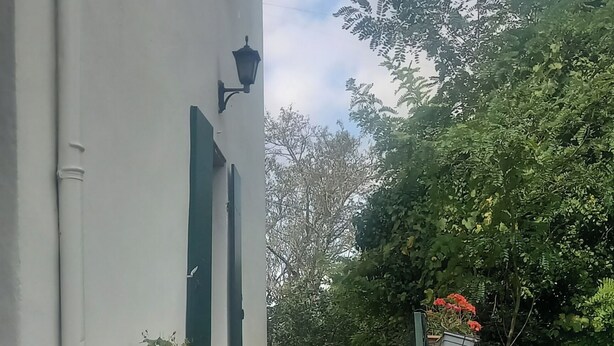A set of concrete steps leading to a white building with green shutters, a small table with a potted plant, and a bench with a planter.