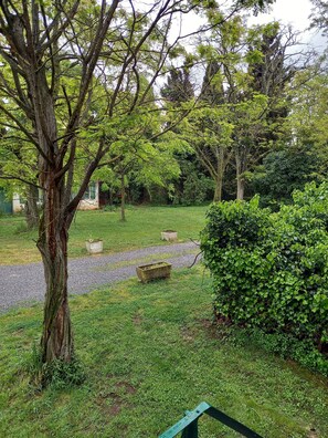 Un parque con un camino de grava, un árbol grande y un banco verde.