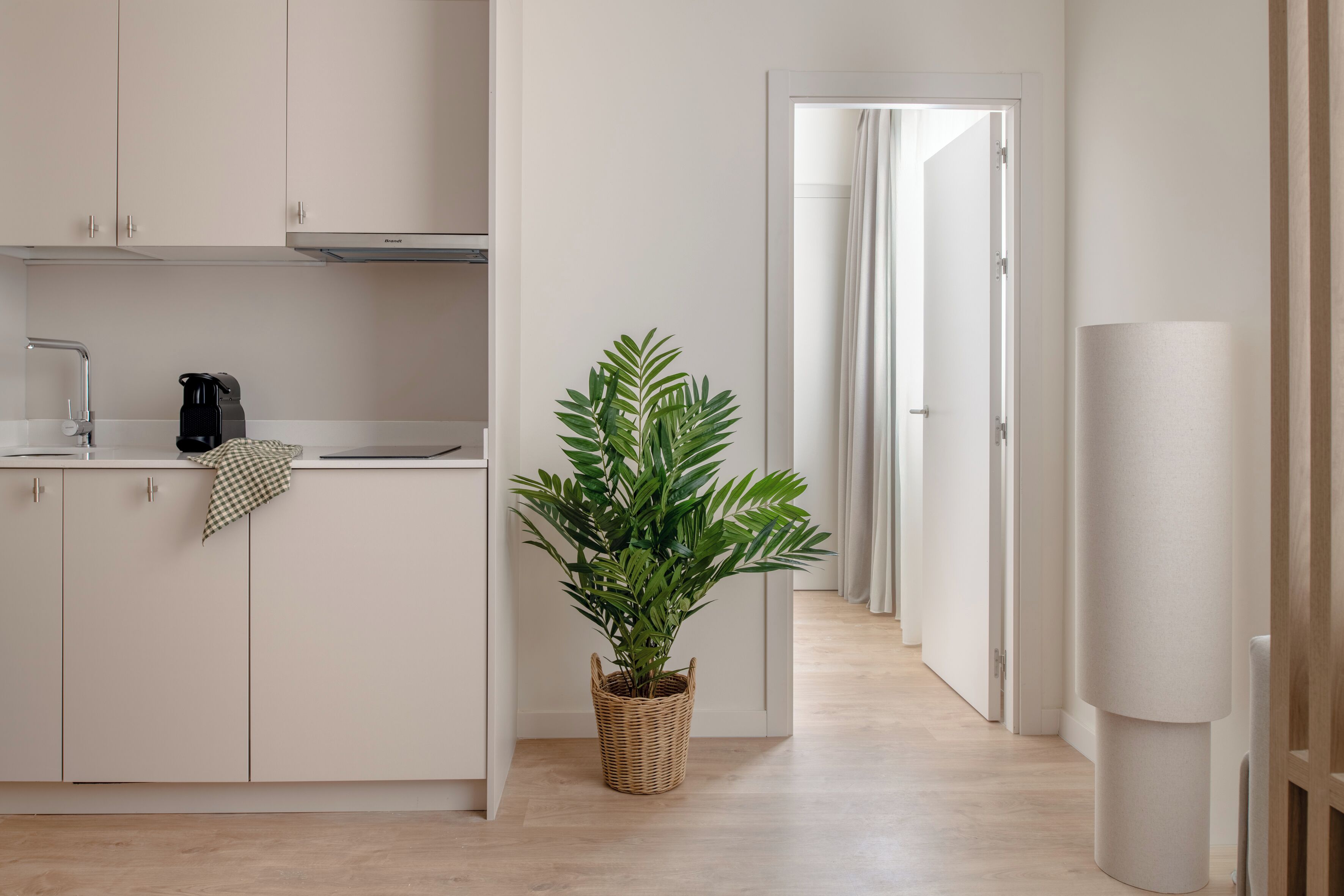 Een moderne keuken met witte kastjes, een koffiezetapparaat en een potplant.