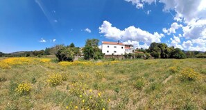 House, 2 Bedrooms, Patio | Exterior - Charming 19th-century Farmhouse Retreat in Lousã, Portugal (Lousa)
