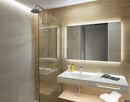 Habitación doble | Baño | Ducha, secador de pelo, toallas y jabón