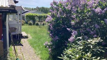 House | Property grounds