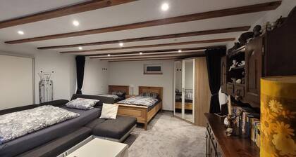 Cozy vacation apartment right on the border with Switzerland. Pet friendly
