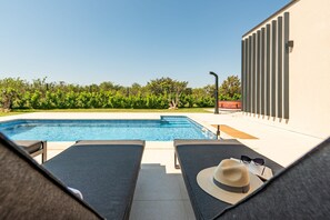 A swimming pool with lounge chairs and a hat on one of them. - Villa D  Briševo ZadarVillas (Briševo)
