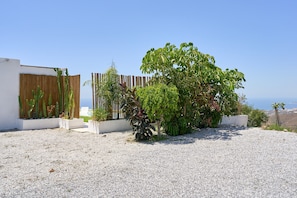 Zona exterior moderna amb sòl de grava, tanca de fusta i diverses plantes, incloent-hi un arbre gran.