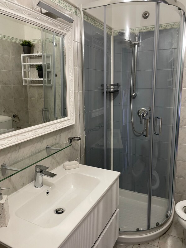 Shower, hair dryer, towels