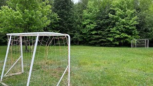 Un but de football dans un terrain herbeux, avec des arbres en arrière-plan.
