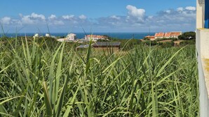 Blick auf die Küste mit Gebäuden, Gras und blauem Himmel.