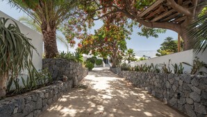 Un sendero bordeado por muros de piedra y plantas tropicales, que conduce a un edificio con una pérgola de madera.
