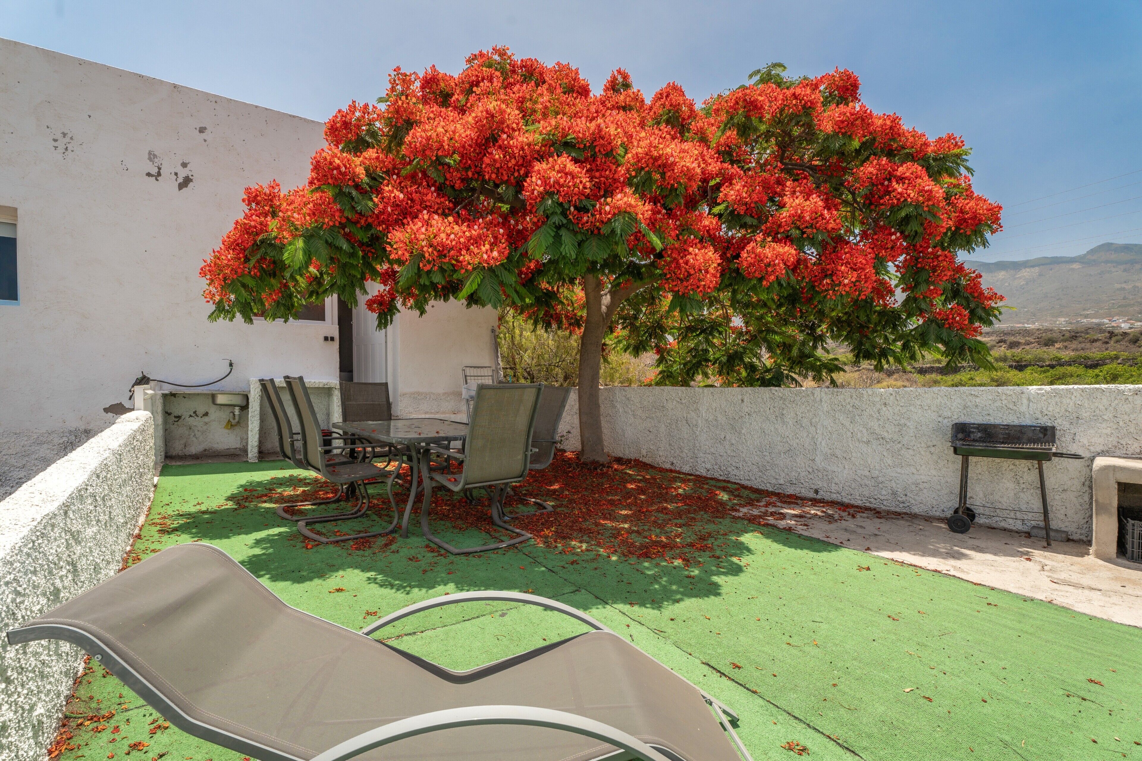 Eine Terrasse mit Tisch und Stühlen, einem Grill und einem Baum mit roten Blüten.