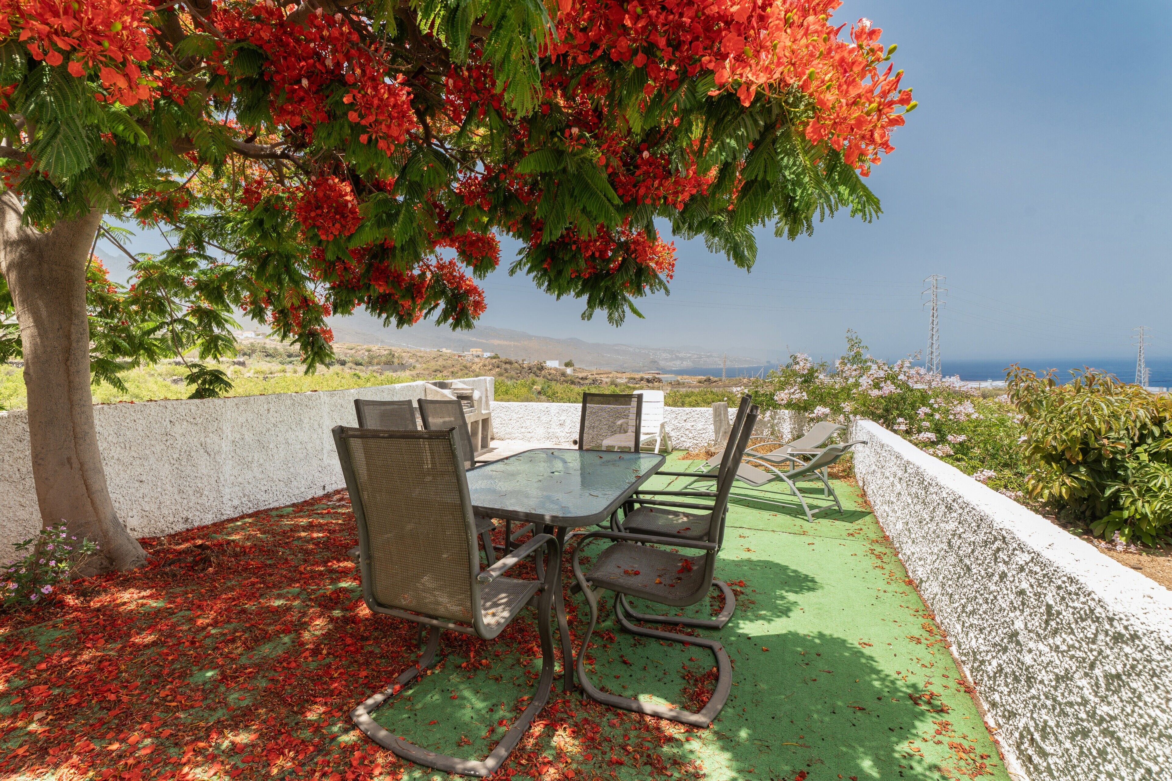 An outdoor dining area with a table and chairs, a tree with red flowers, and a view of the landscape.