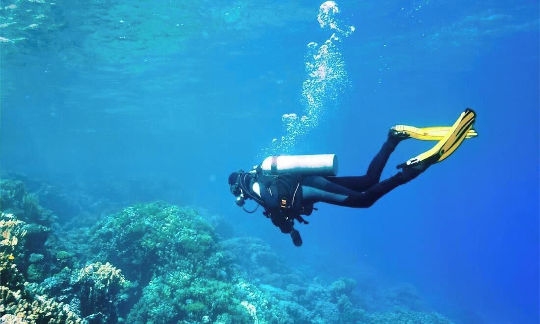 A diver underwater with a scuba tank, surrounded by marine life and coral.