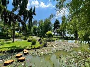 Un jardin paisible avec un étang, une végétation luxuriante et un ciel dégagé.