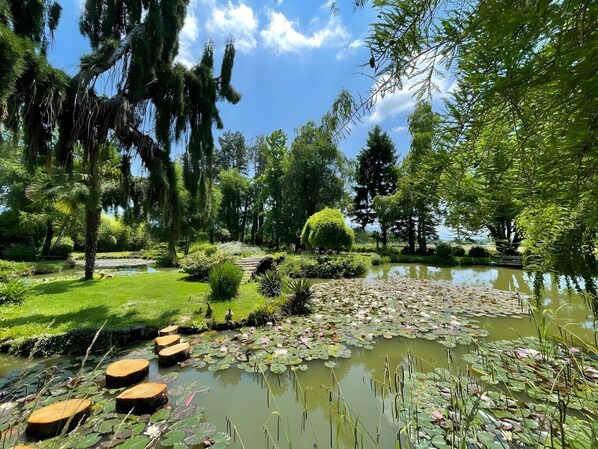 Ein friedlicher Garten mit Teich, üppigem Grün und blauem Himmel.