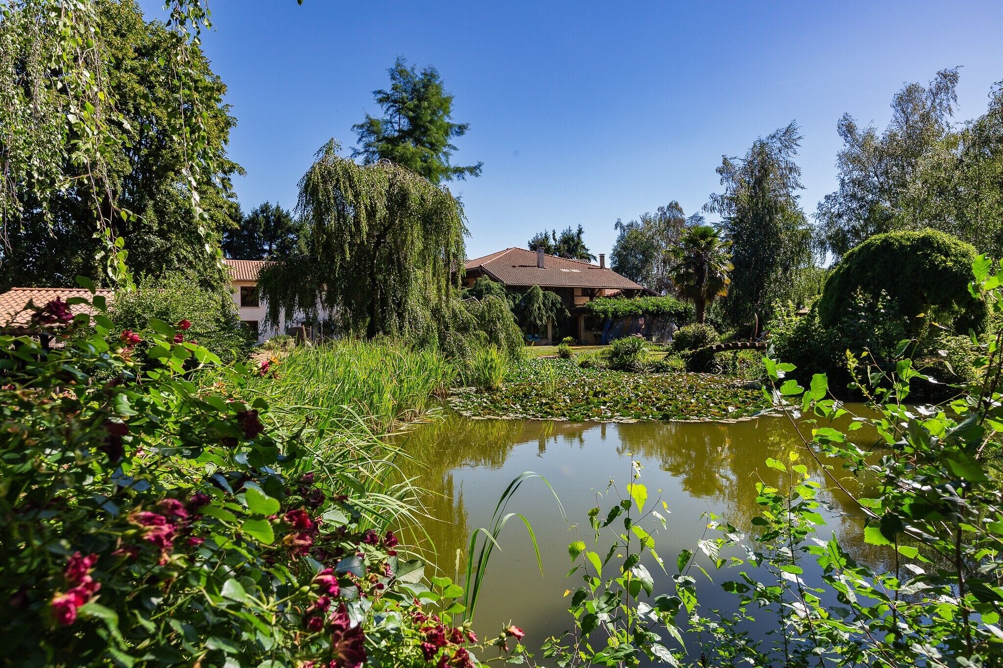 A garden with a pond, various plants, and a building with a tiled roof.
