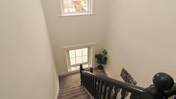 A staircase with a handrail, carpeted steps, and a potted plant.