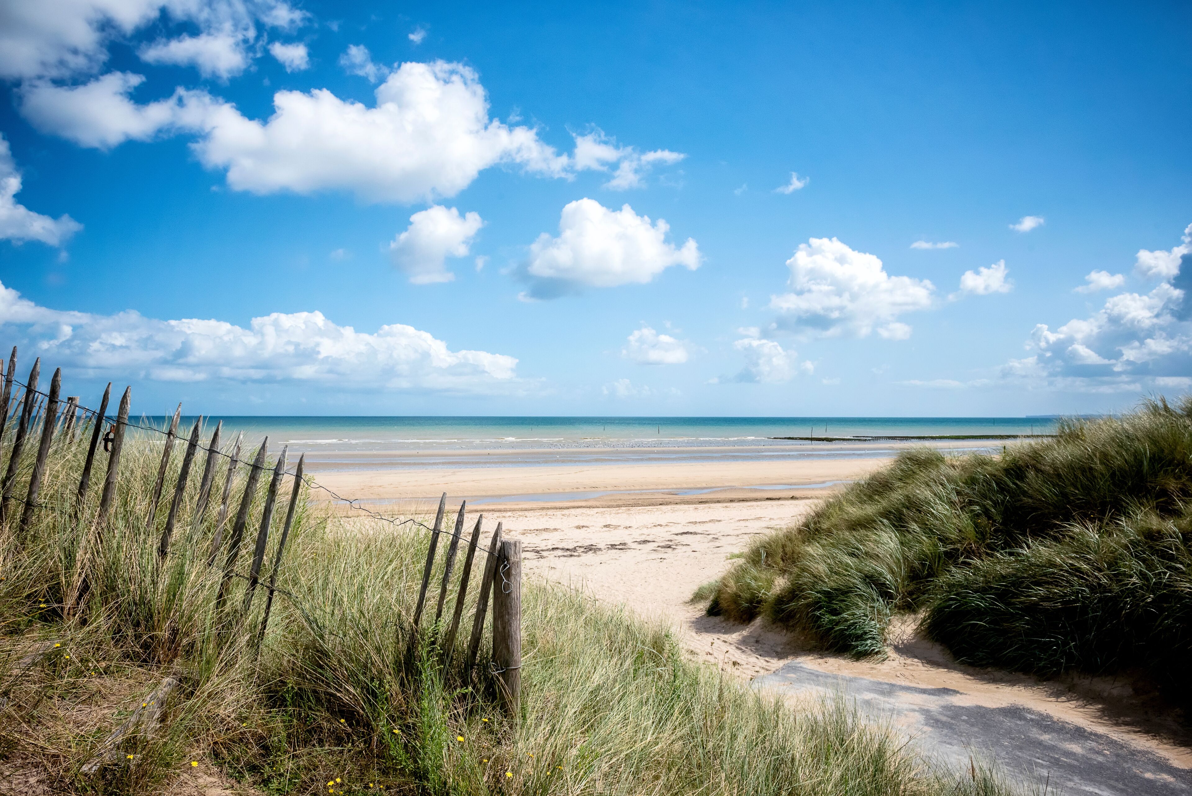 A beach with a sandy path leading to the sea, surrounded by grassy dunes.