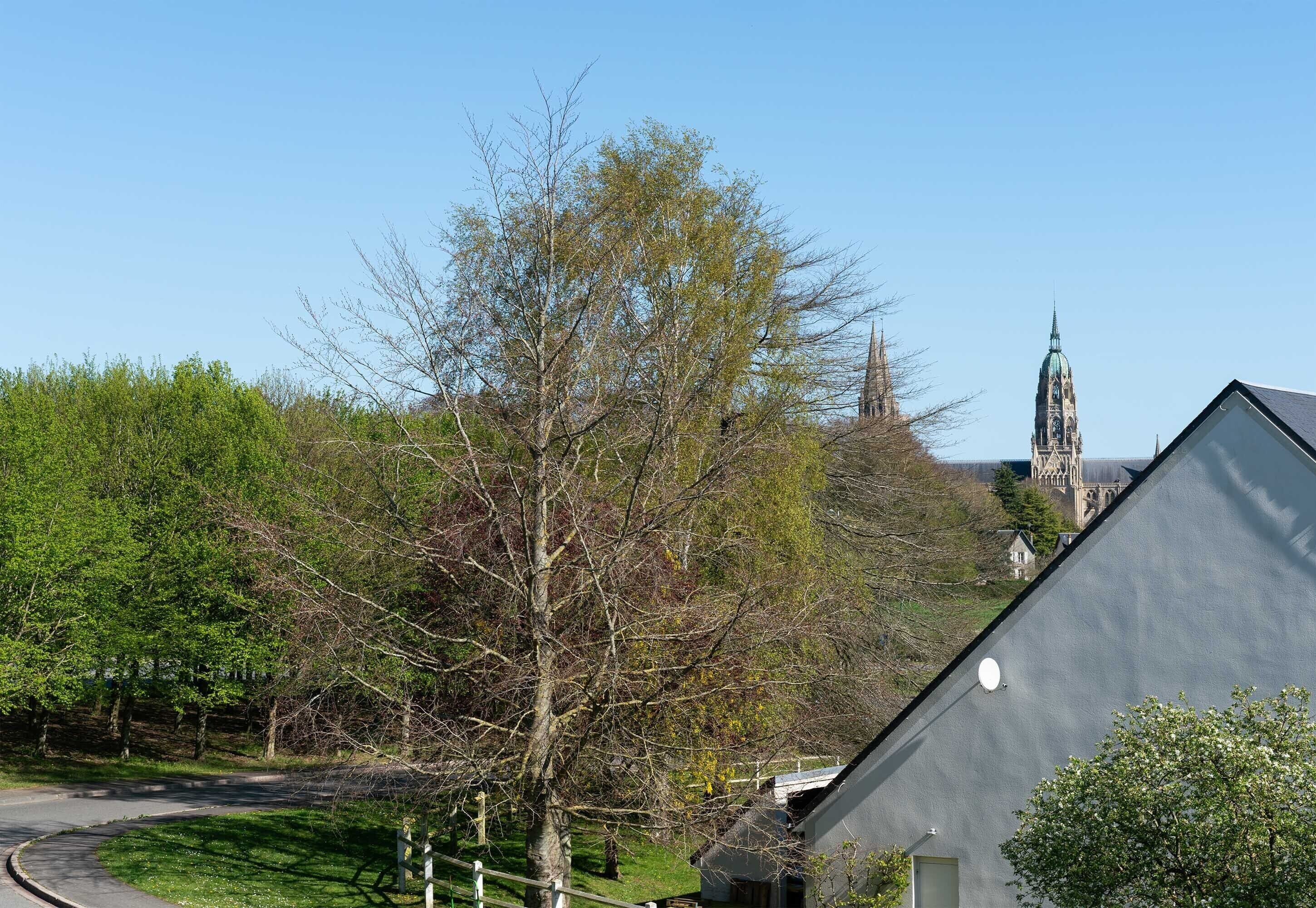 Un quartier résidentiel avec une route sinueuse, un grand arbre et le clocher d’une église en arrière-plan.