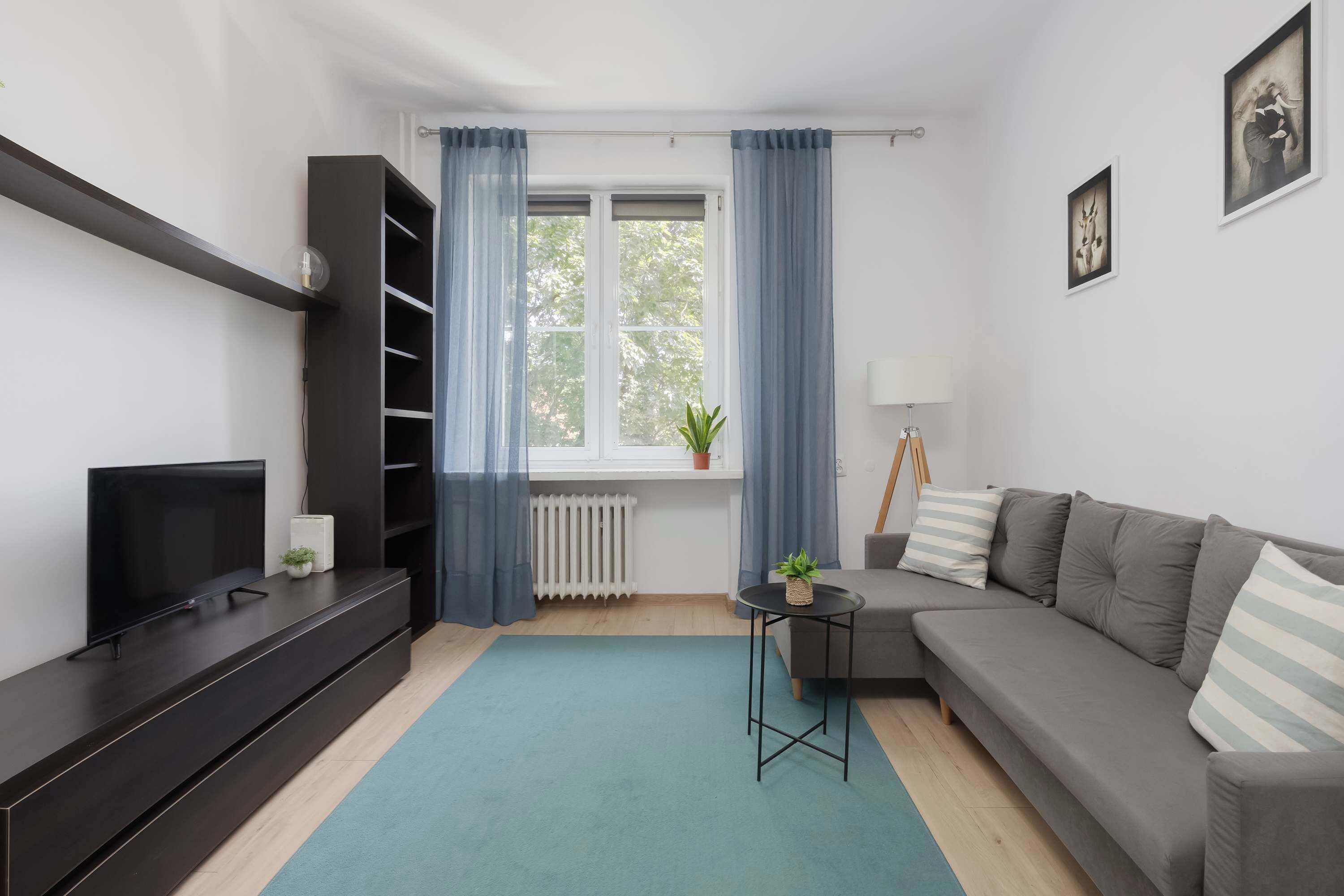 Ein modernes Wohnzimmer mit Flachbildfernseher, grauem Sofa, kleinem Tisch mit Pflanze und einem Fenster mit Vorhängen.
